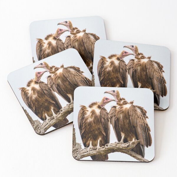 Item preview, Vulture Couple Watching Out for a Meal - Krüger National Park designed and sold by holgermader.