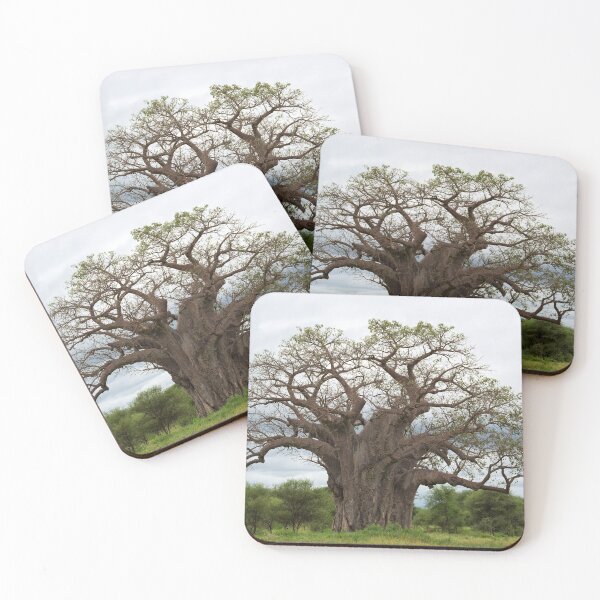 Item preview, Baobab (Adansonia digitata) Tree designed and sold by Yair Karelic.