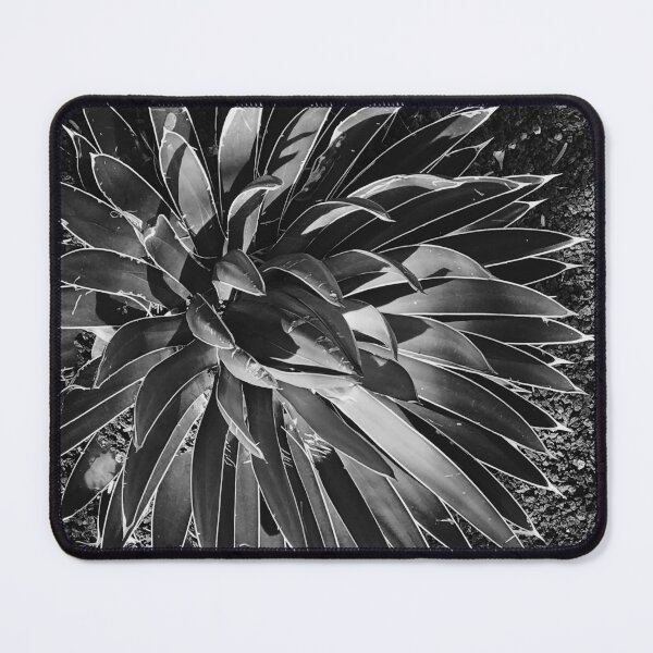 Item preview, Exotic Black And White Succulent Art Photo designed and sold by DEC02.