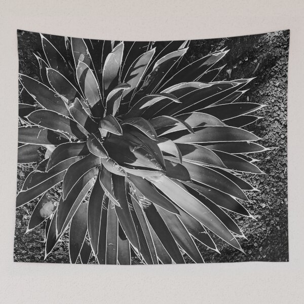 Item preview, Exotic Black And White Succulent Art Photo designed and sold by DEC02.