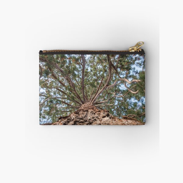 Item preview, Tree at Monastery Rheinau - Switzerland designed and sold by holgermader.