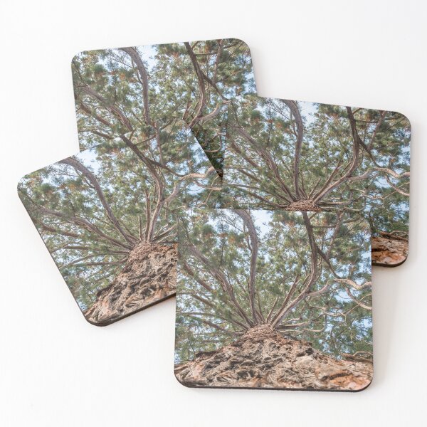 Item preview, Tree at Monastery Rheinau - Switzerland designed and sold by holgermader.
