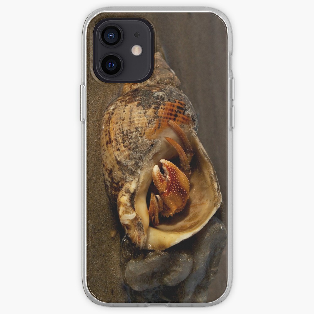 Hermit Crab on Fahan Beach iPhone Case & Cover