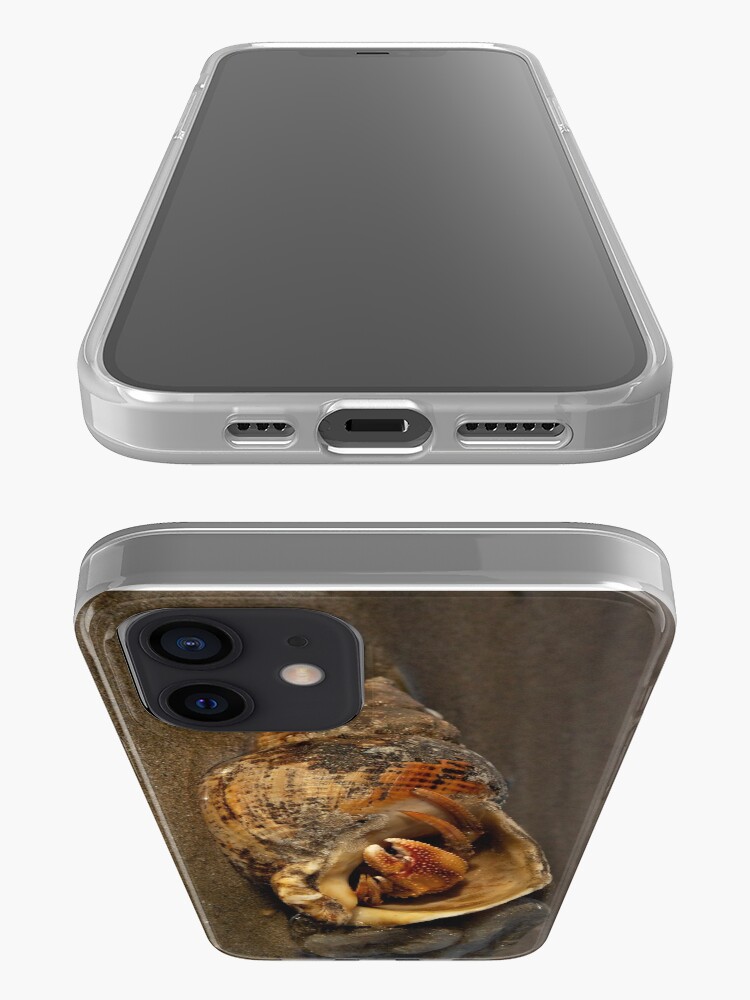 Alternate view of Hermit Crab on Fahan Beach iPhone Case & Cover