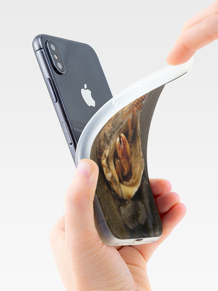 Alternate view of Hermit Crab on Fahan Beach iPhone Case & Cover
