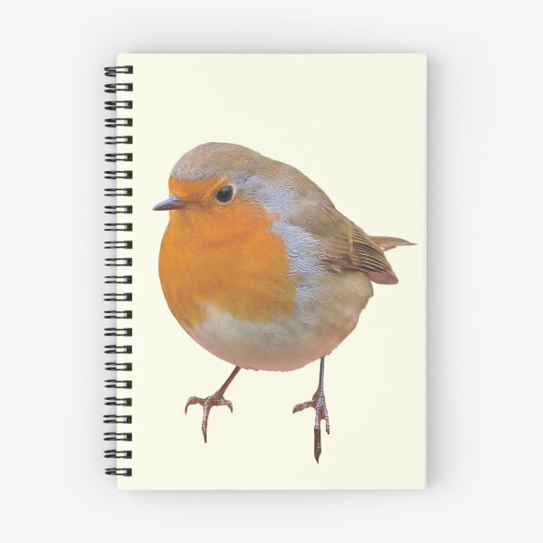 Item preview, Little Robin designed and sold by RainbowSpinkle.