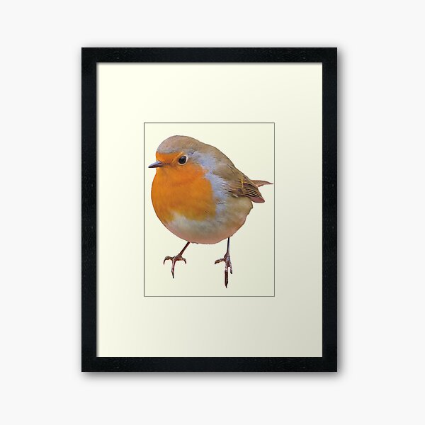 Aperçu de l'œuvre Petit Robin créée et vendue par RainbowSpinkle.
