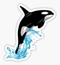 Orca Sticker