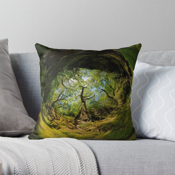 Ness Glen, Mystical Irish Wood Throw Pillow