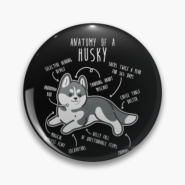 Item preview, Grey Siberian Husky Dog Anatomy designed and sold by Clara Hollins.
