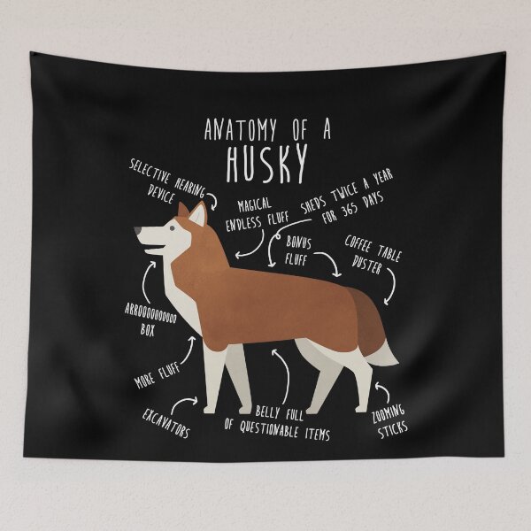 Item preview, Red Siberian Husky Dog Anatomy designed and sold by Clara Hollins.