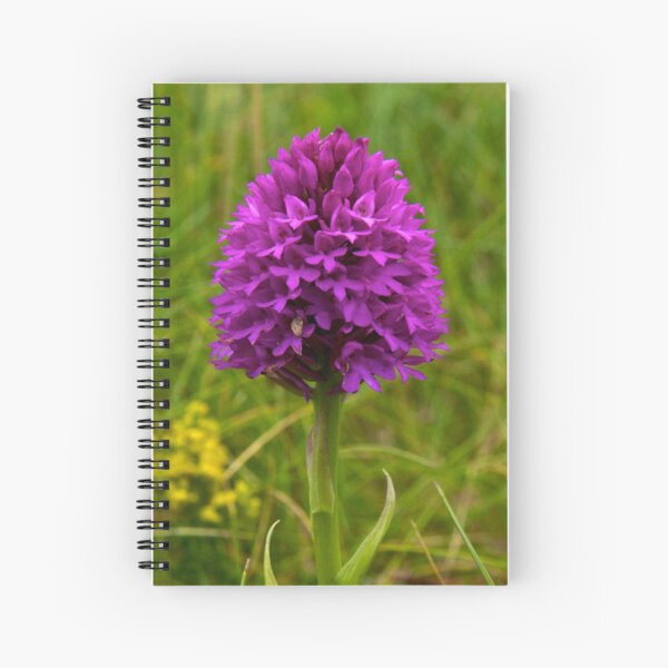 Pyramidal Orchid, Inishmore, Aran Islands Spiral Notebook