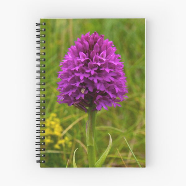Item preview, Pyramidal Orchid, Inishmore, Aran Islands  designed and sold by George Row.