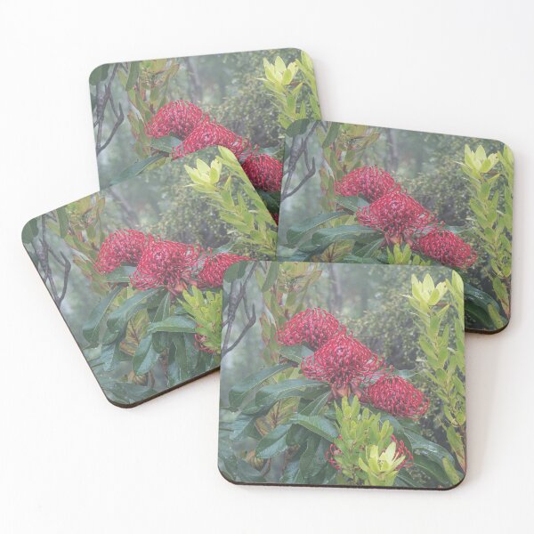 Item preview, WARATAHS IN THE MIST # 6 designed and sold by Salieri1627.