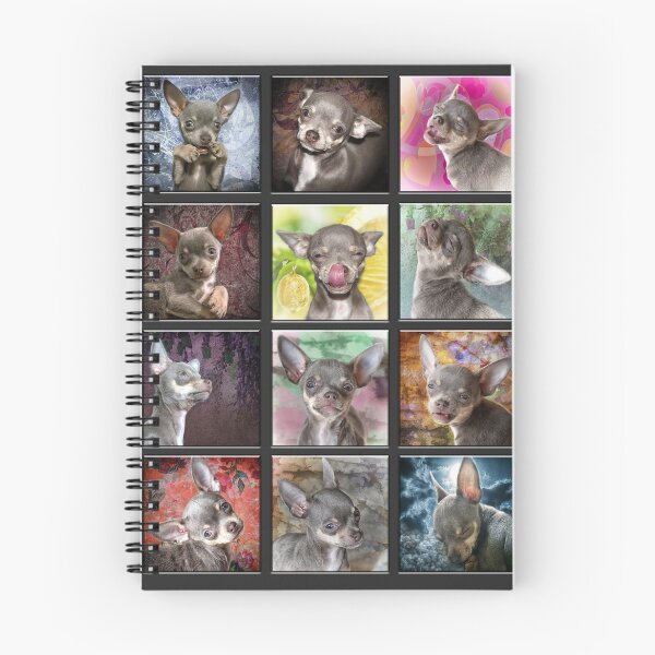Item preview, Cheeky Chihuahua Expressions. Cute funny faces. designed and sold by BarbaraGlebska.
