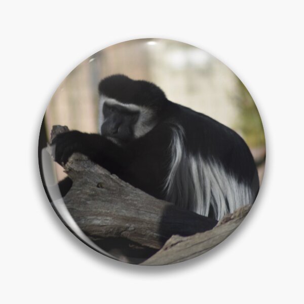 Item preview, Colobus Monkey designed and sold by MarieDarcy97.