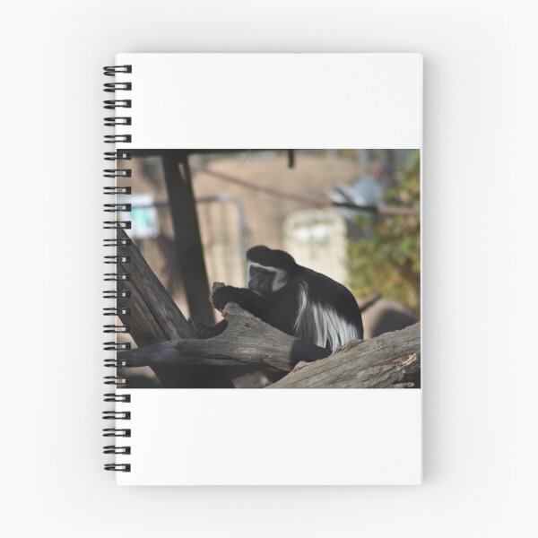 Item preview, Colobus Monkey designed and sold by MarieDarcy97.