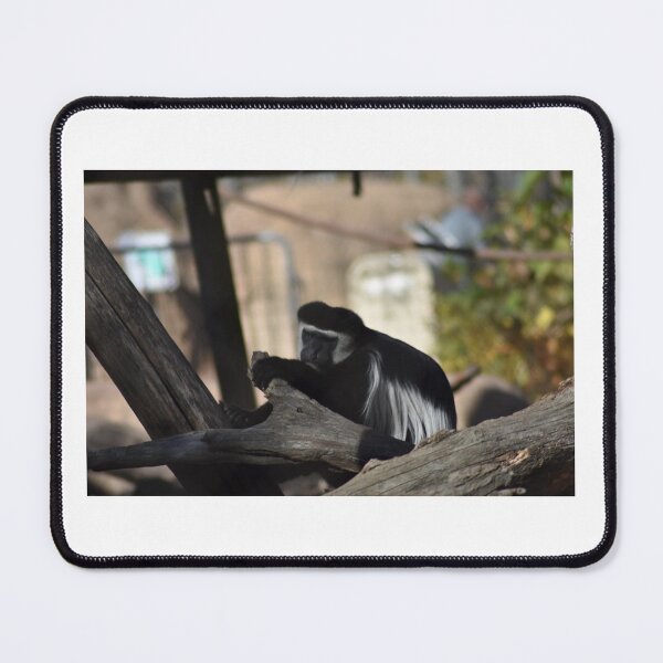 Item preview, Colobus Monkey designed and sold by MarieDarcy97.