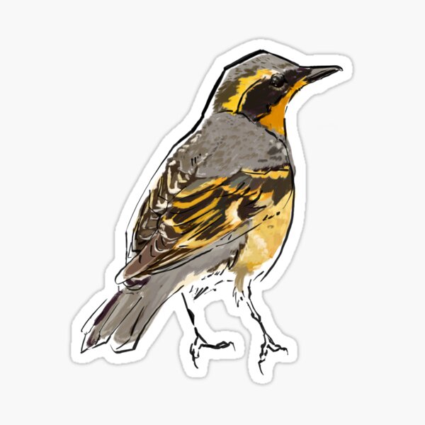 Item preview, Varied Thrush designed and sold by nocsnightsky.