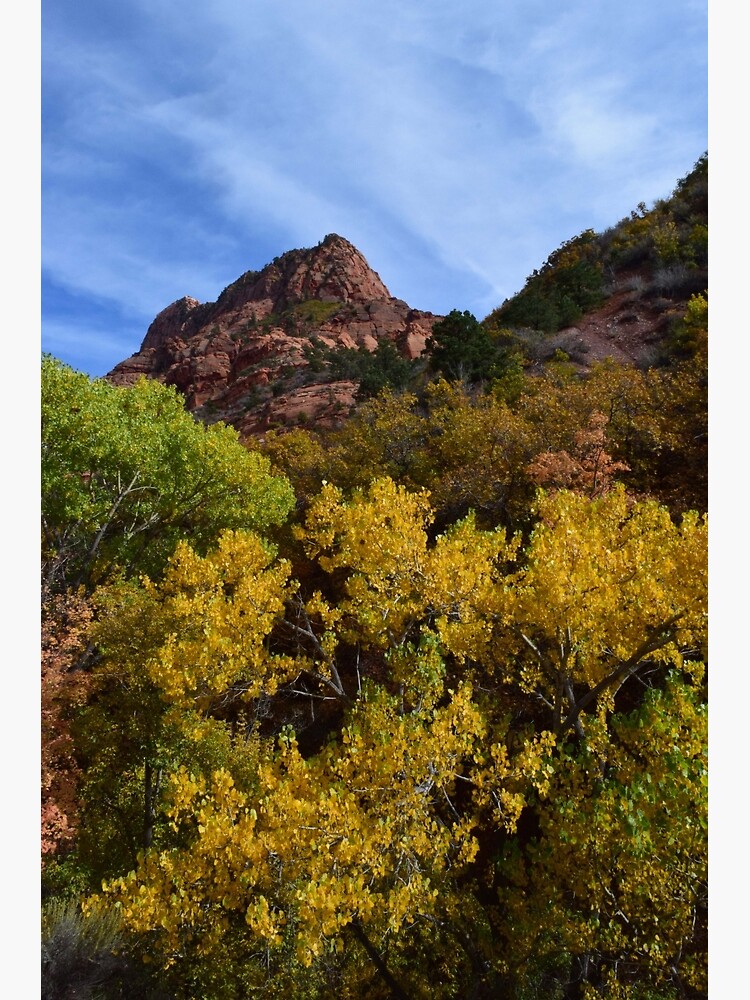 "Kolob Canyon No. 63" Poster for Sale by SandyTaylorNYC Redbubble