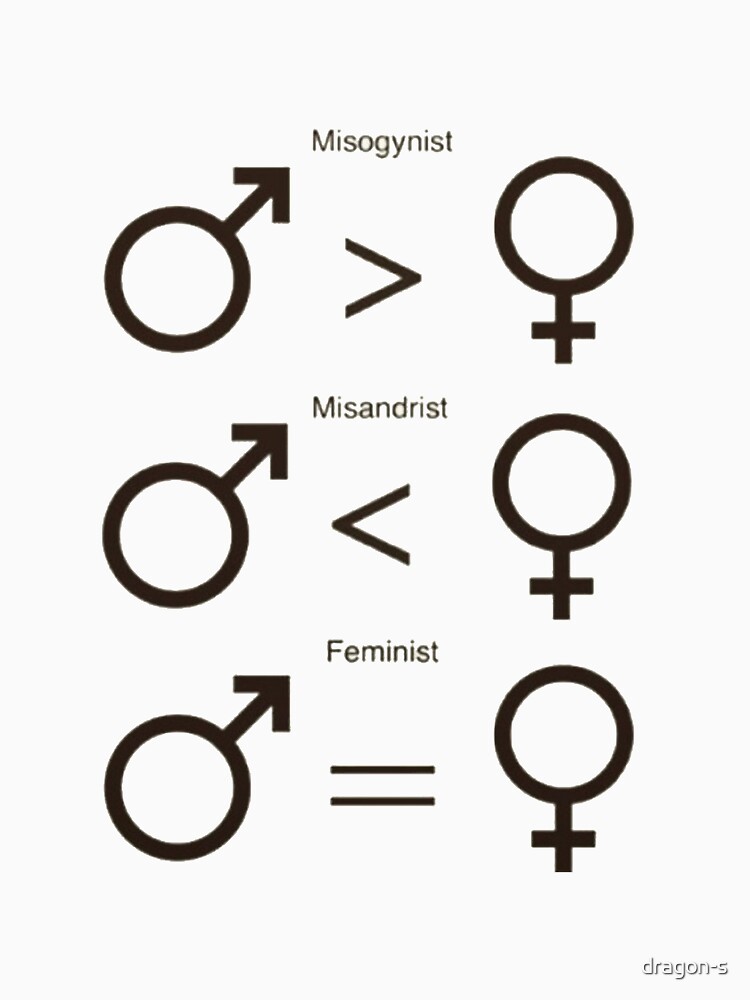 Misogynist, Misandrist, and Feminist by dragon-s