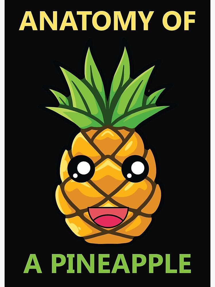 "Anatomy Of A Pineapple Plant" Poster for Sale by casablanca10 Redbubble
