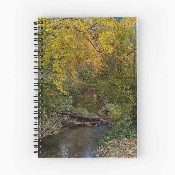 Item preview, The Babbling Brook designed and sold by Lanis Rossi.