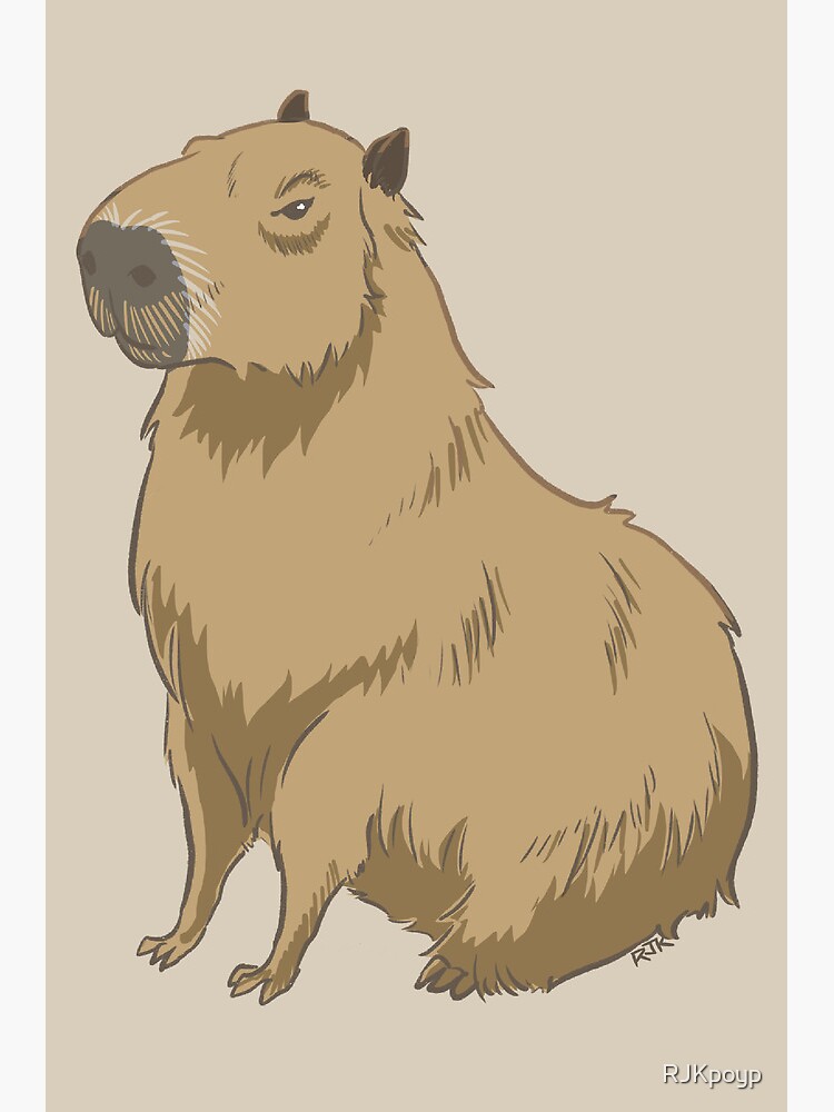 Prints of Digital illustration of Capybara (Hydrochoerus