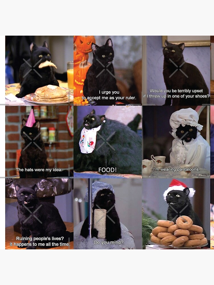 Musings of Salem by CloverFi