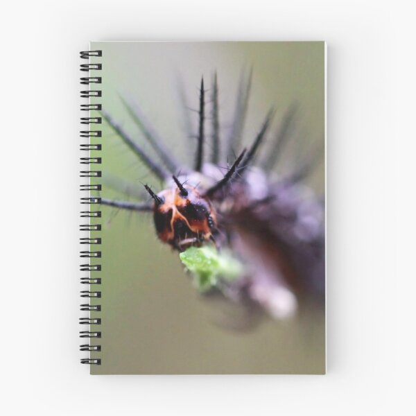 Item preview, Caterpillar of Dryas iulia designed and sold by Jo Nijenhuis.