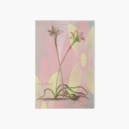 Botanical Print-Indian Lily Daffodil Art Board Print