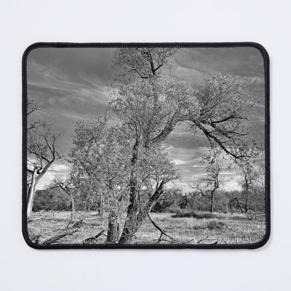 Item preview, Cherry Creek Autumn 2022 Study 1  designed and sold by Robert Meyers-Lussier.