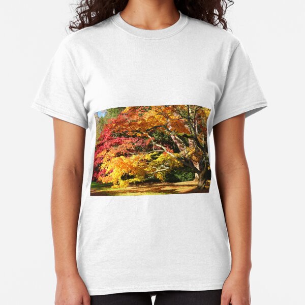 Autumn Acer Glade Classic T-Shirt