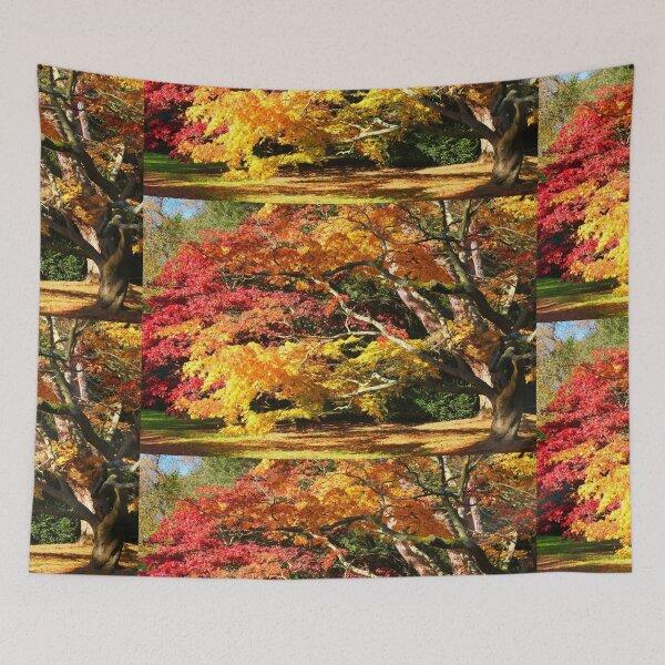 Item preview, Autumn Acer Glade designed and sold by JohnDalkin.