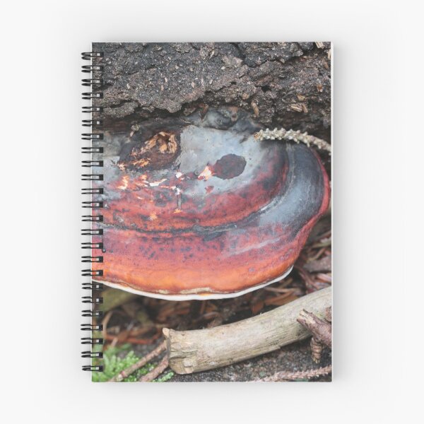Item preview, Red-banded Polypore III designed and sold by cuprum.