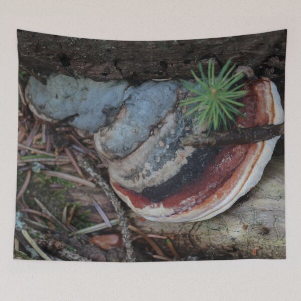 Item preview, Red-banded Polypore II designed and sold by cuprum.