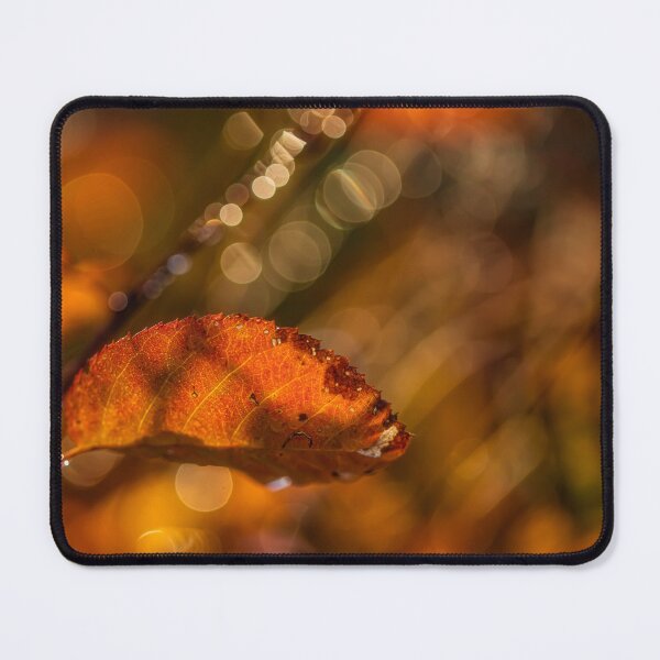 Item preview, Autumn leaves 9 designed and sold by Veikko  Suikkanen.