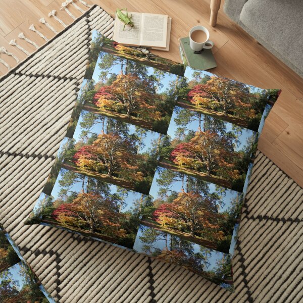 Autumn Beauty in Westonbirt. Floor Pillow