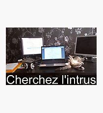 Lámina fotográfica Cherchez l'intrus