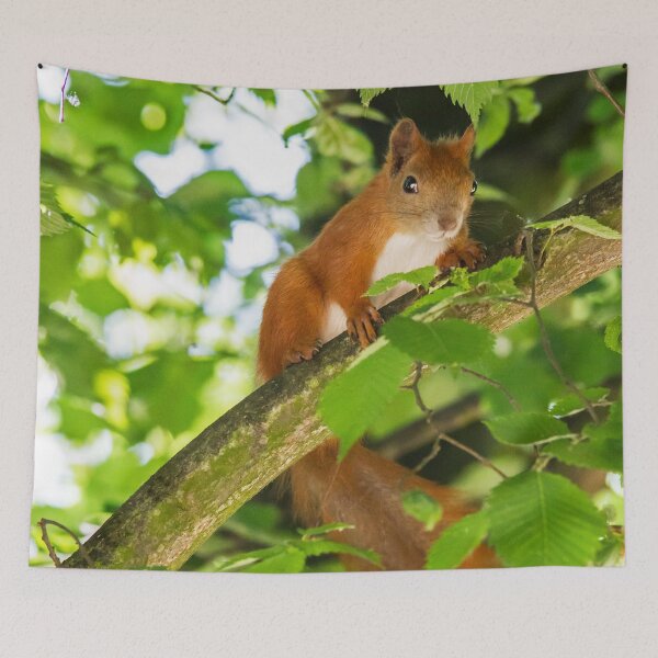Item preview, Red Squirrel designed and sold by Dominika Aniola.