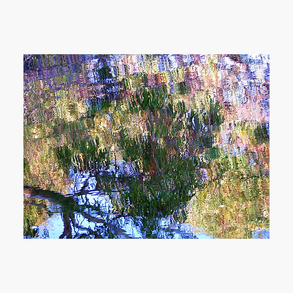 Water Garden Photographic Print