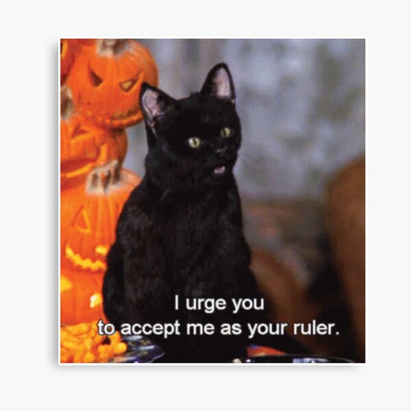 Bow to Salem Canvas Print