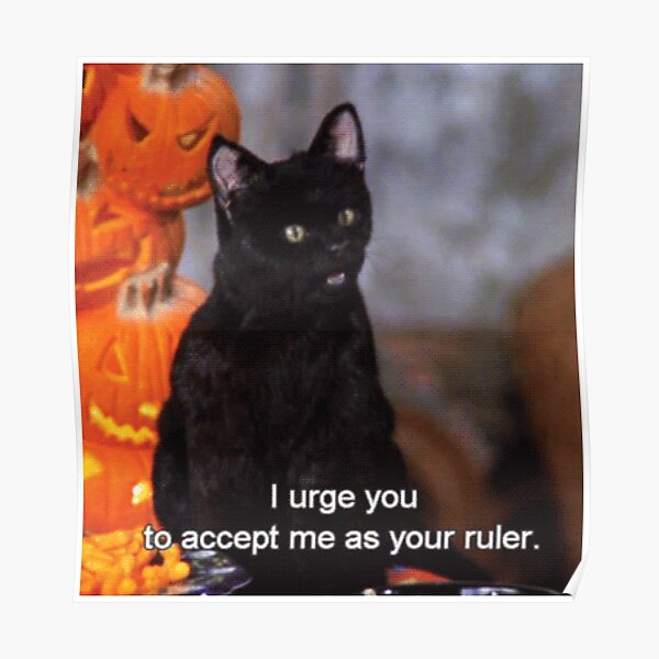 Bow to Salem Poster