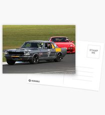 Silver Stang Postcards