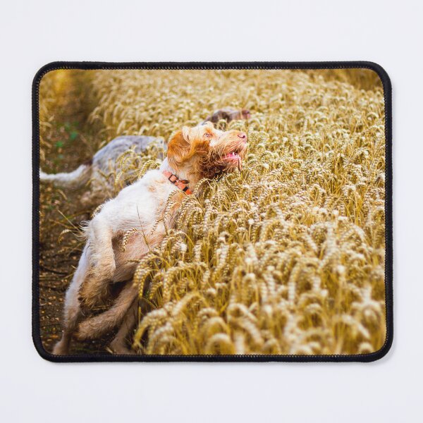 Item preview, Cover me I'm going in Spinone by heidiannemorris designed and sold by FOLK ART FUSION by heidiannemorris.