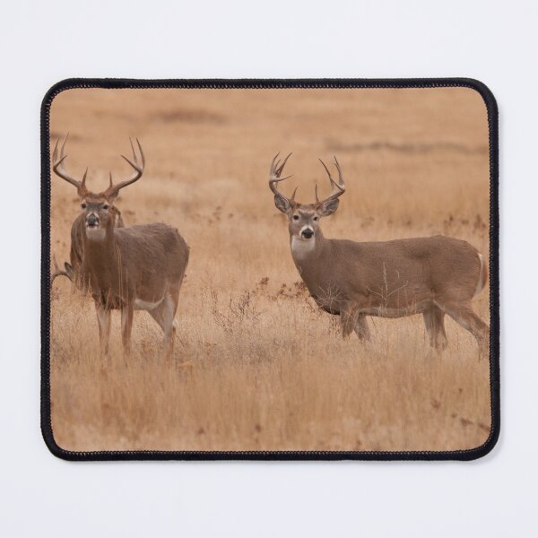 Item preview, Monster Whitetail Deer Bucks  designed and sold by Rodney55.