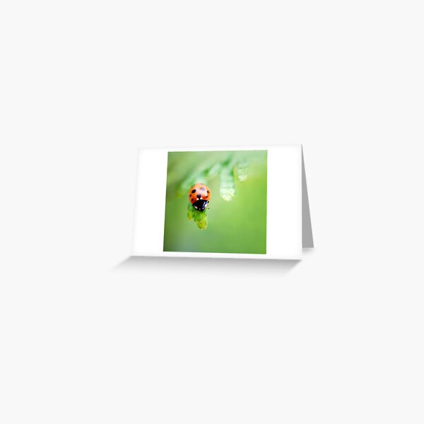 The road to success is dotted with many tempting parking places... Greeting Card