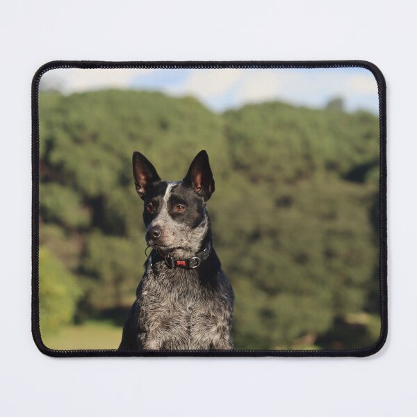 Item preview, Riley designed and sold by JACKYLAW1.