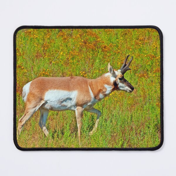 Item preview, Antelope Buck Walking  designed and sold by Rodney55.