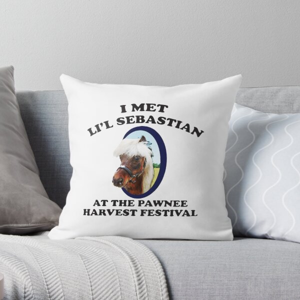 J'ai rencontré Lil 'Sebastian Coussin